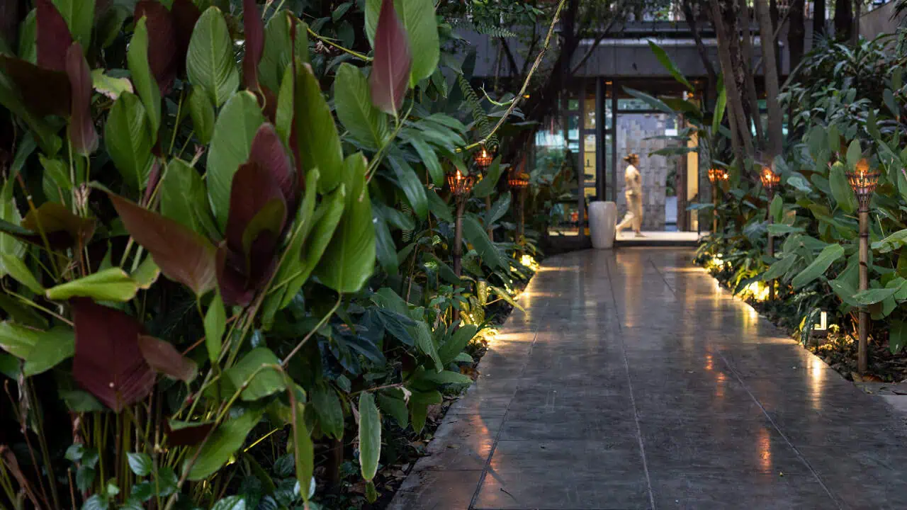 Jardin verdoyant urbain - Anjali by Syphon